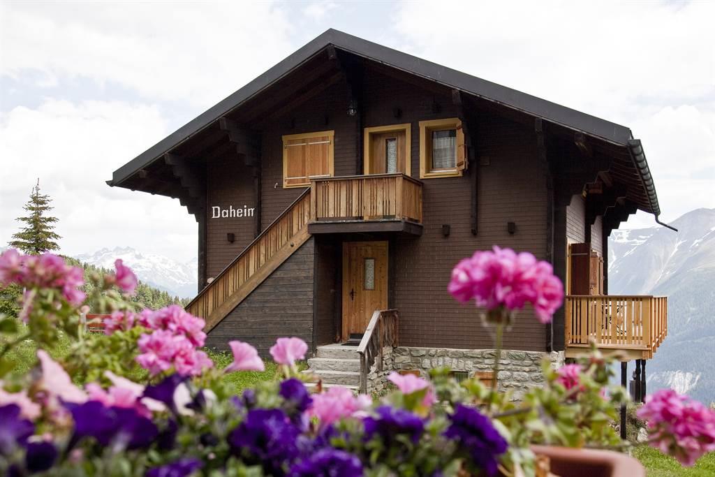 Daheim 2-Zimmerwohnung - Aussenansicht Sommer