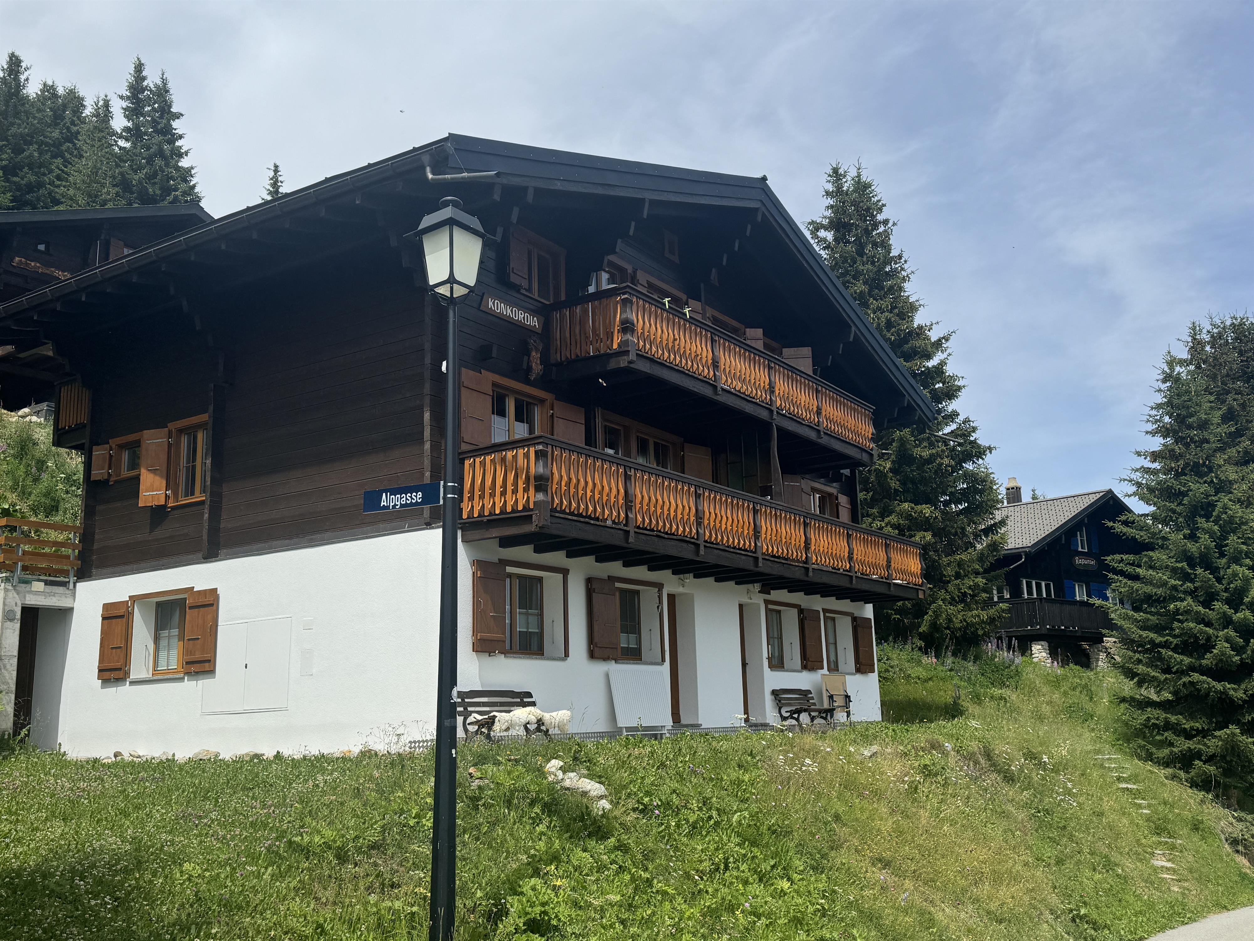Konkordia 1 EG Süd - Konkordia Sommer