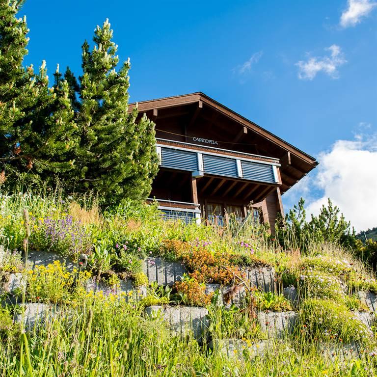 Cassiopeia - DSC_5540_fotoweb15_riederalp-fewo