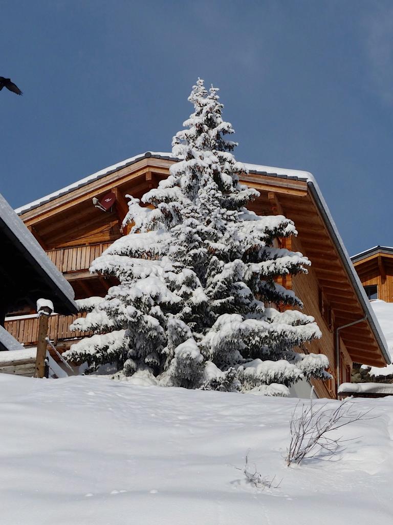 Hoppschul EG Süd - Chalet Winter