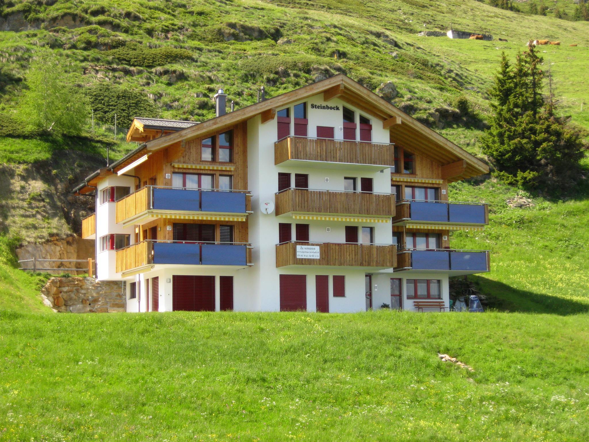 Alpenhaus Steinbock 1. OG West - Alpenhaus Steinbock von Süden gesehen