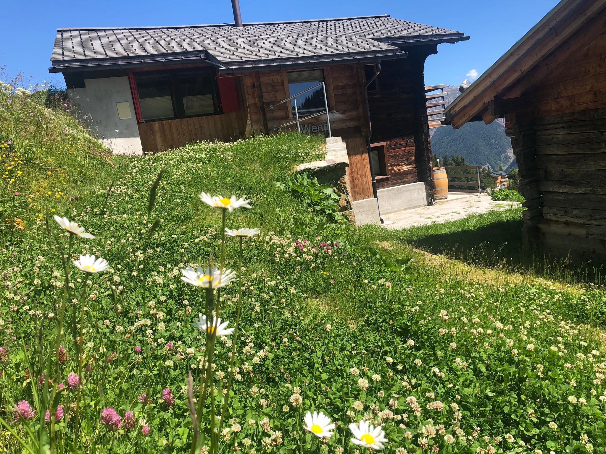 Wendi - Chalet Wendi Sommer