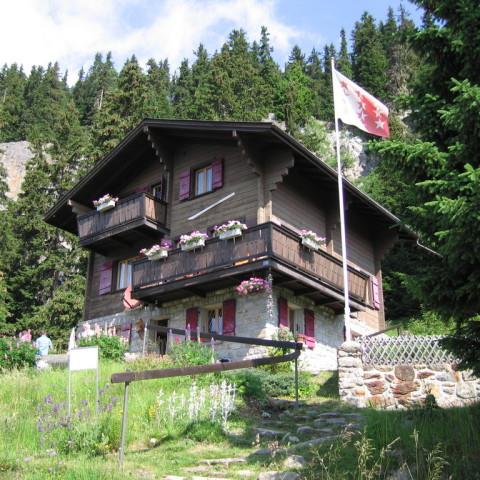 Murmeli 1. Stock - Aussenansicht Sommer