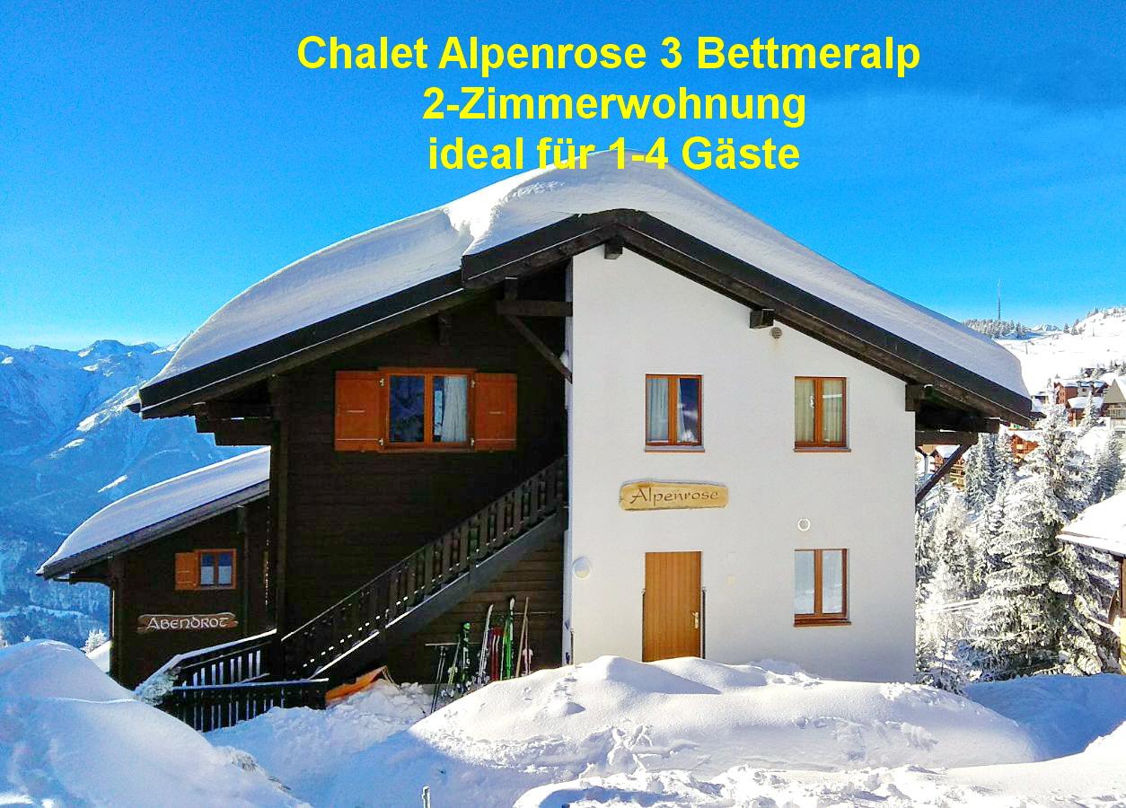 Alpenrose 3 - Alpenrose Winter