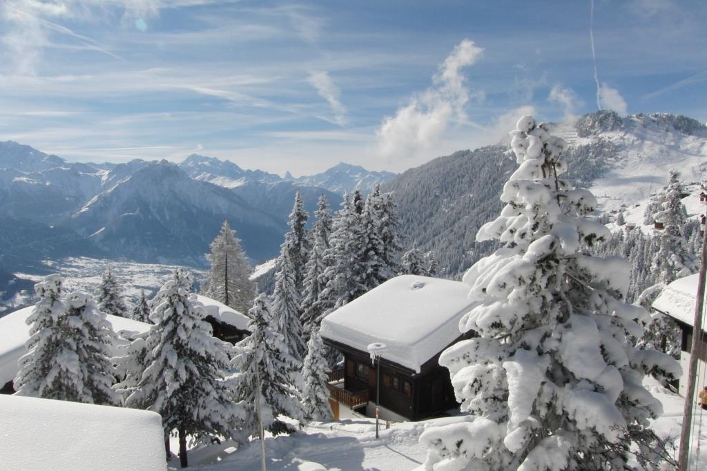 Alfa EG Süd-West - AussichtWinter