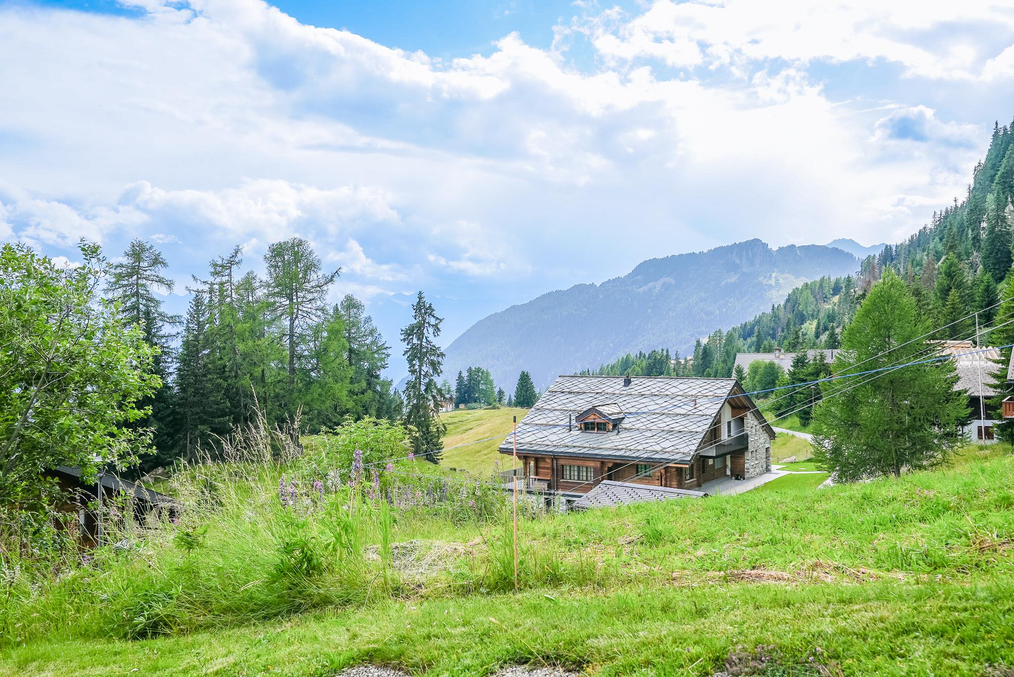 Lieke 1. OG Süd - DSC00956