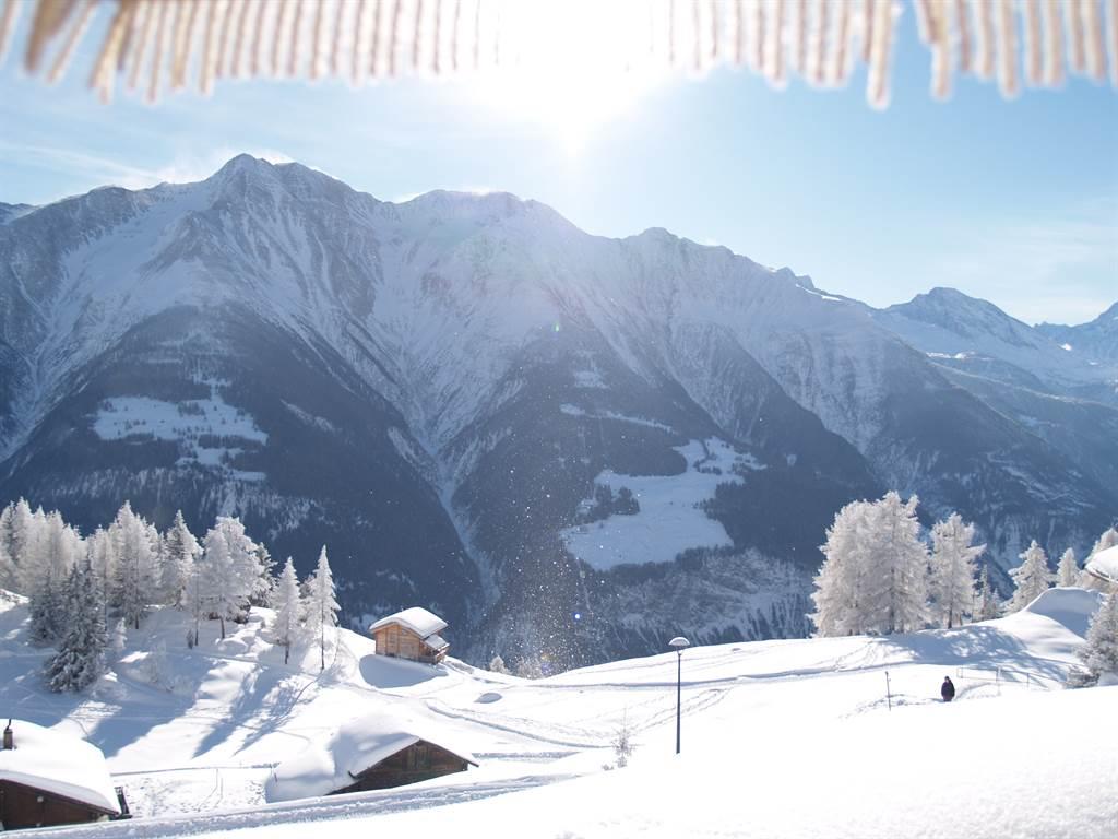 Benjamin Parterre - Blick aus dem Strandkorb