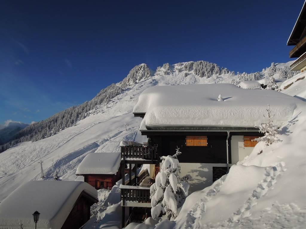 Felsgrund 1. Stock West - AussichtRiederhorn