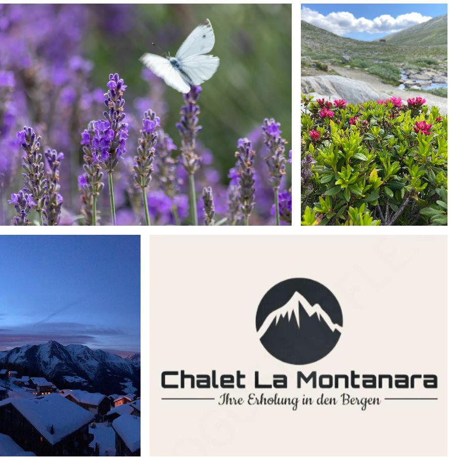 La Montanara 1. OG West - Postkarte LA Montanara
