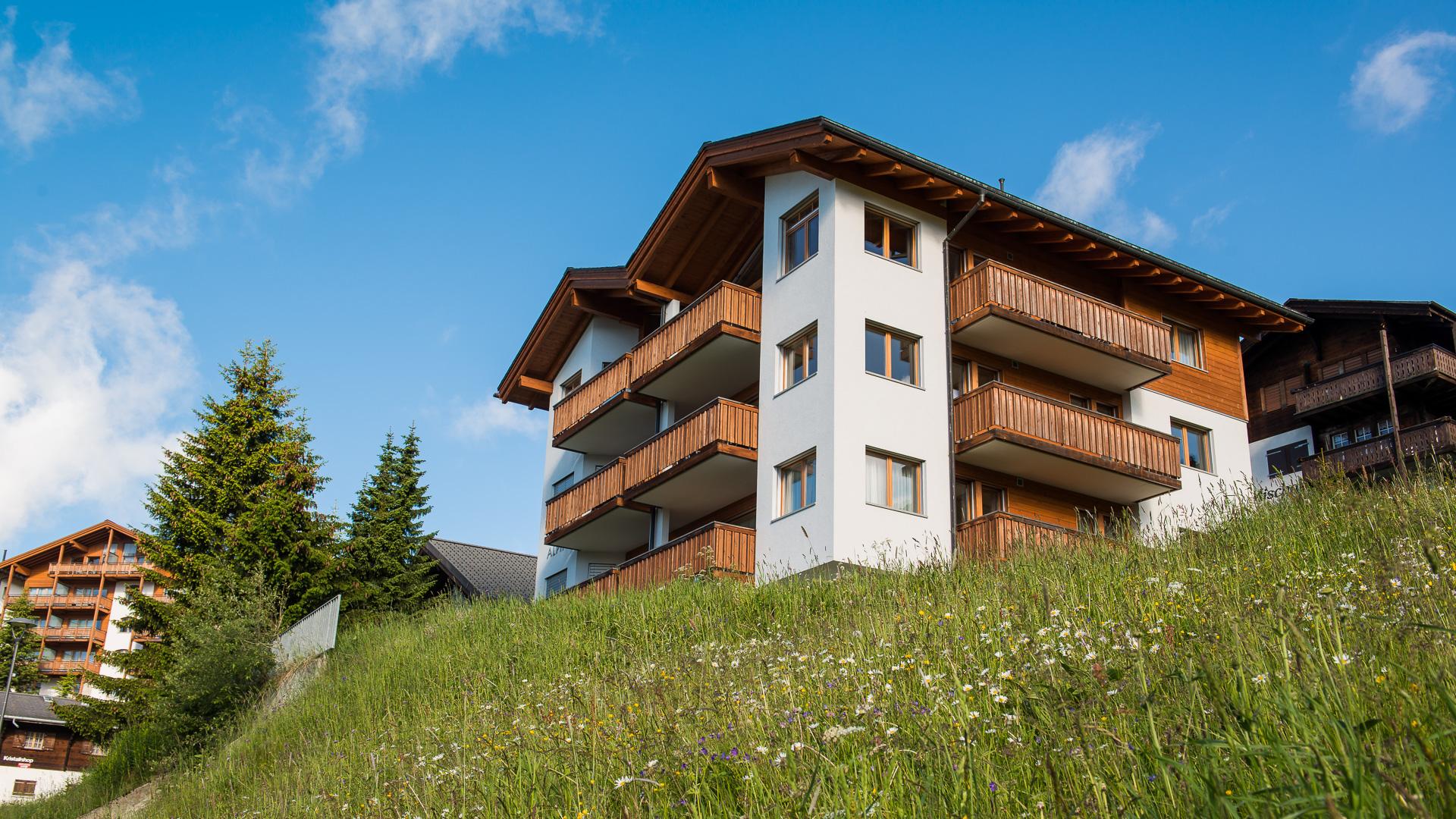 Alpin 31 DG Süd-Ost - DSC_5557_fotoweb15