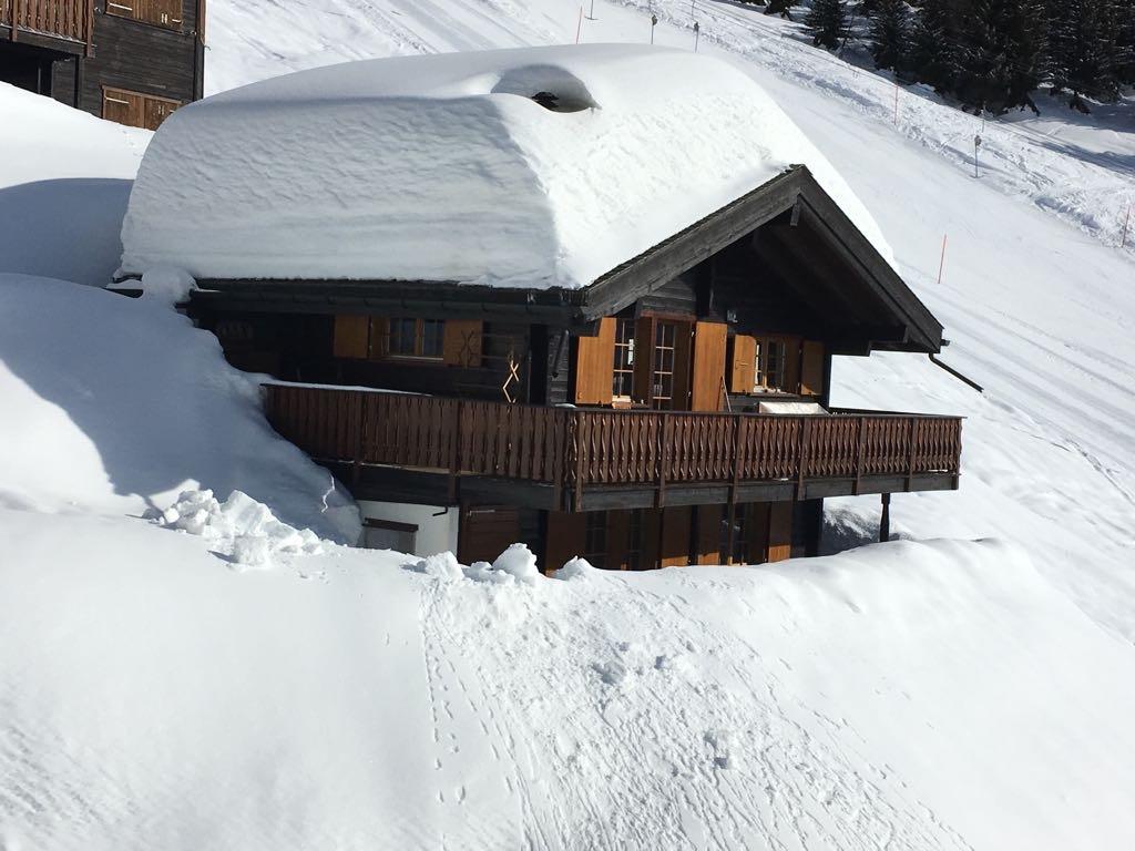 Dax - 04A09788-8176-44D6-BA51-04863A40B767