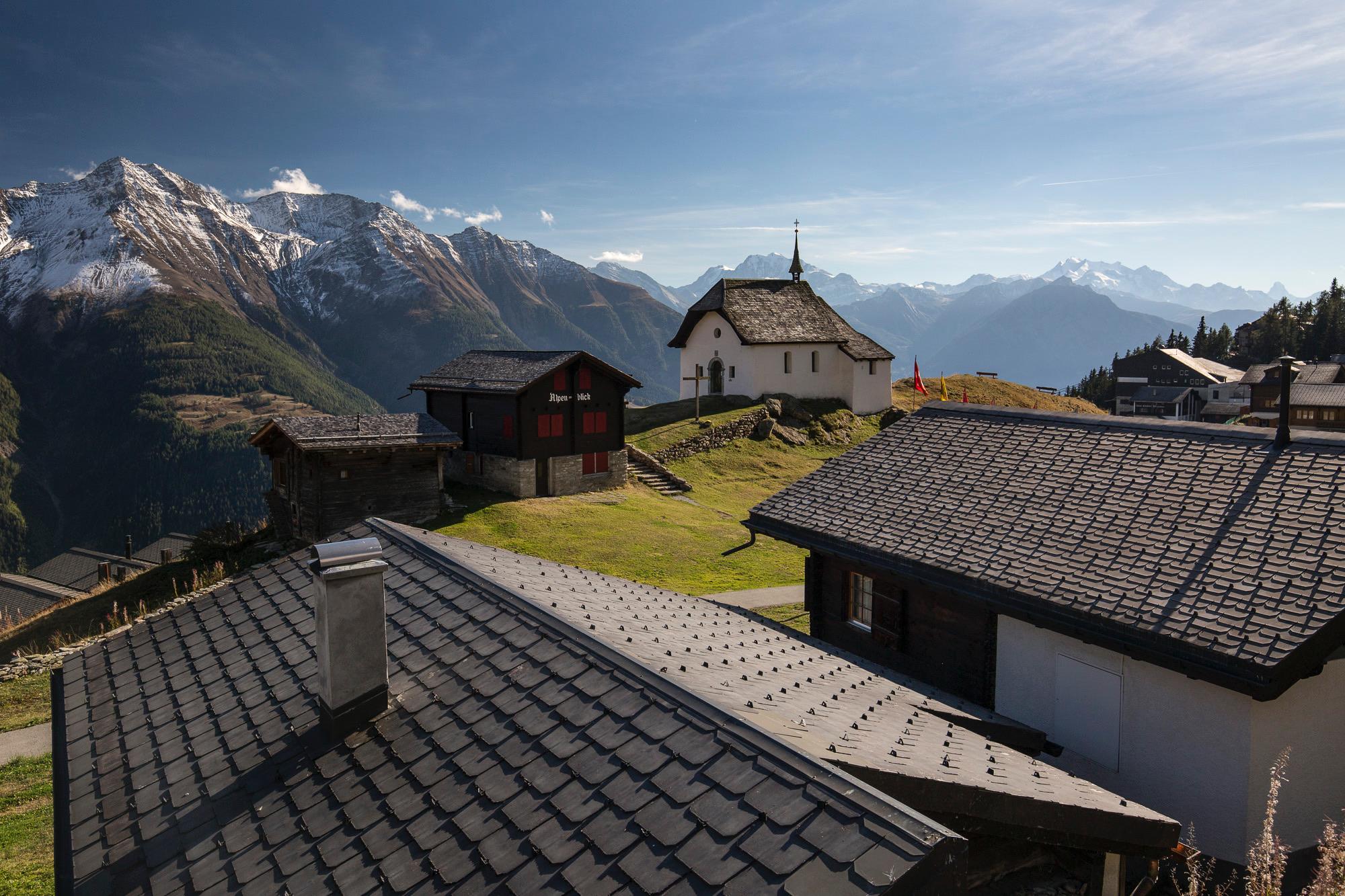 Bergveilchen - Blick übers Hausdach