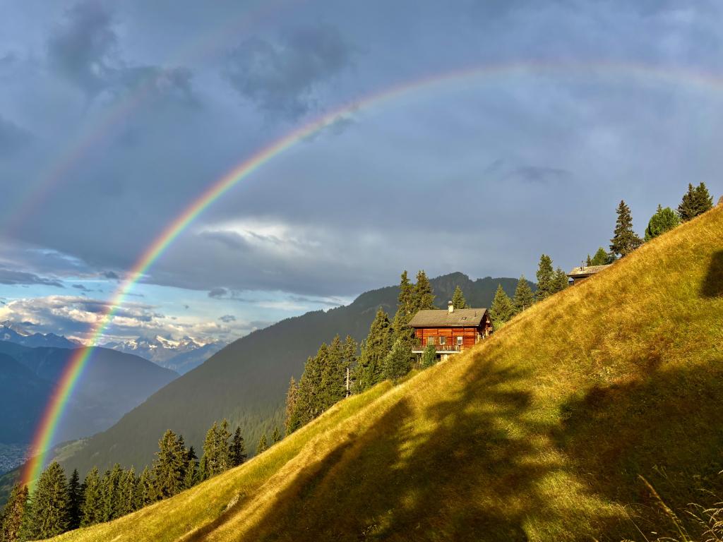 Basilisk 2. OG Süd - chaletregenbogen