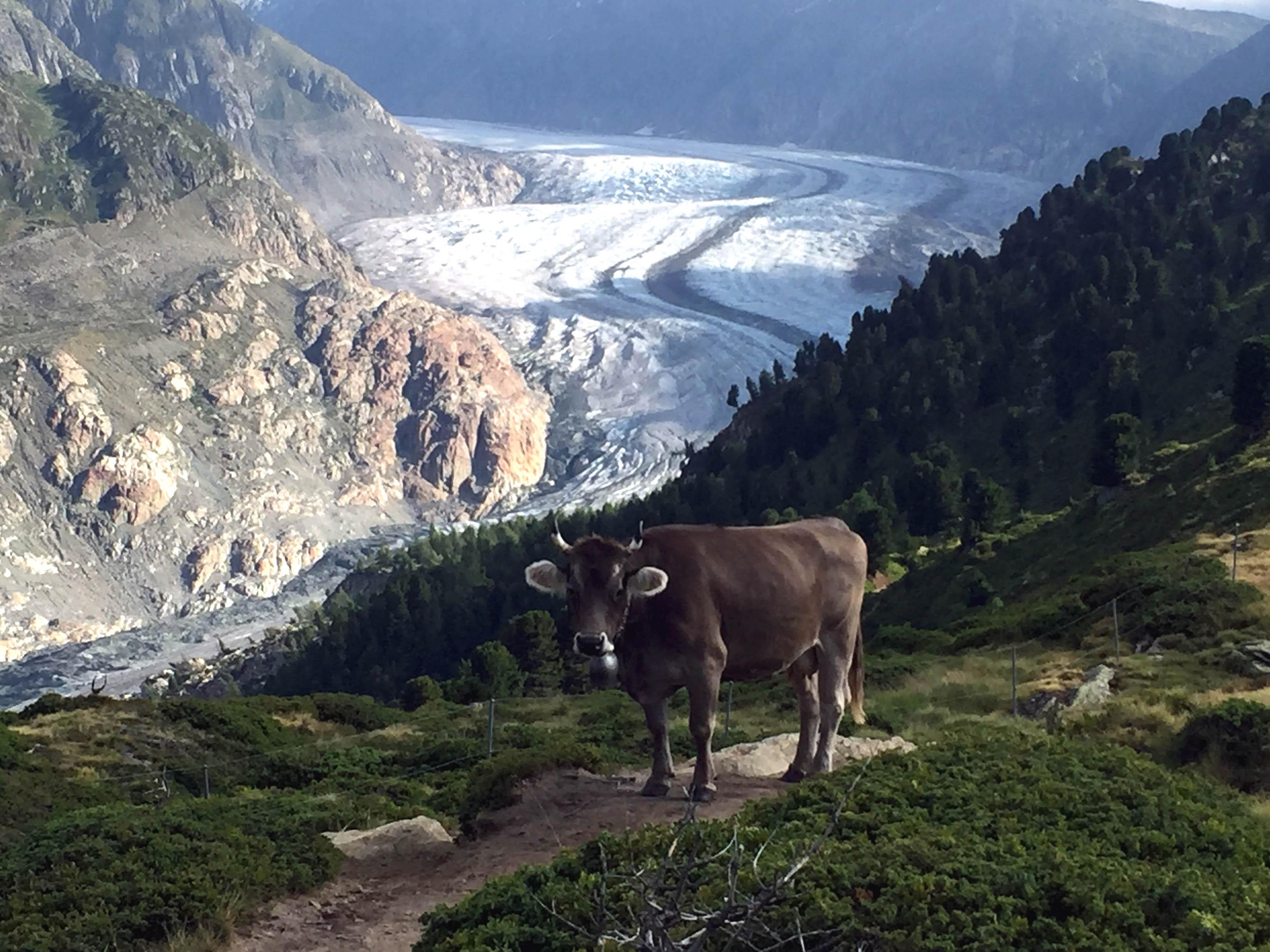 Amici 1. OG West - IMG_1643_2