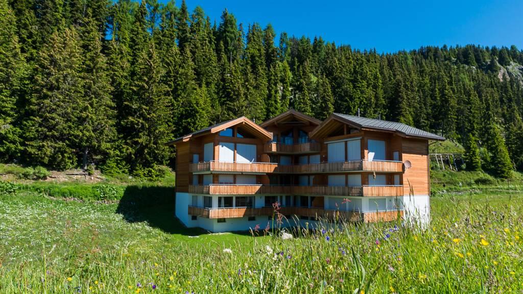 Matterhorn 25 Krieger - DSC_5742_fotoweb15_riederalp-fewo