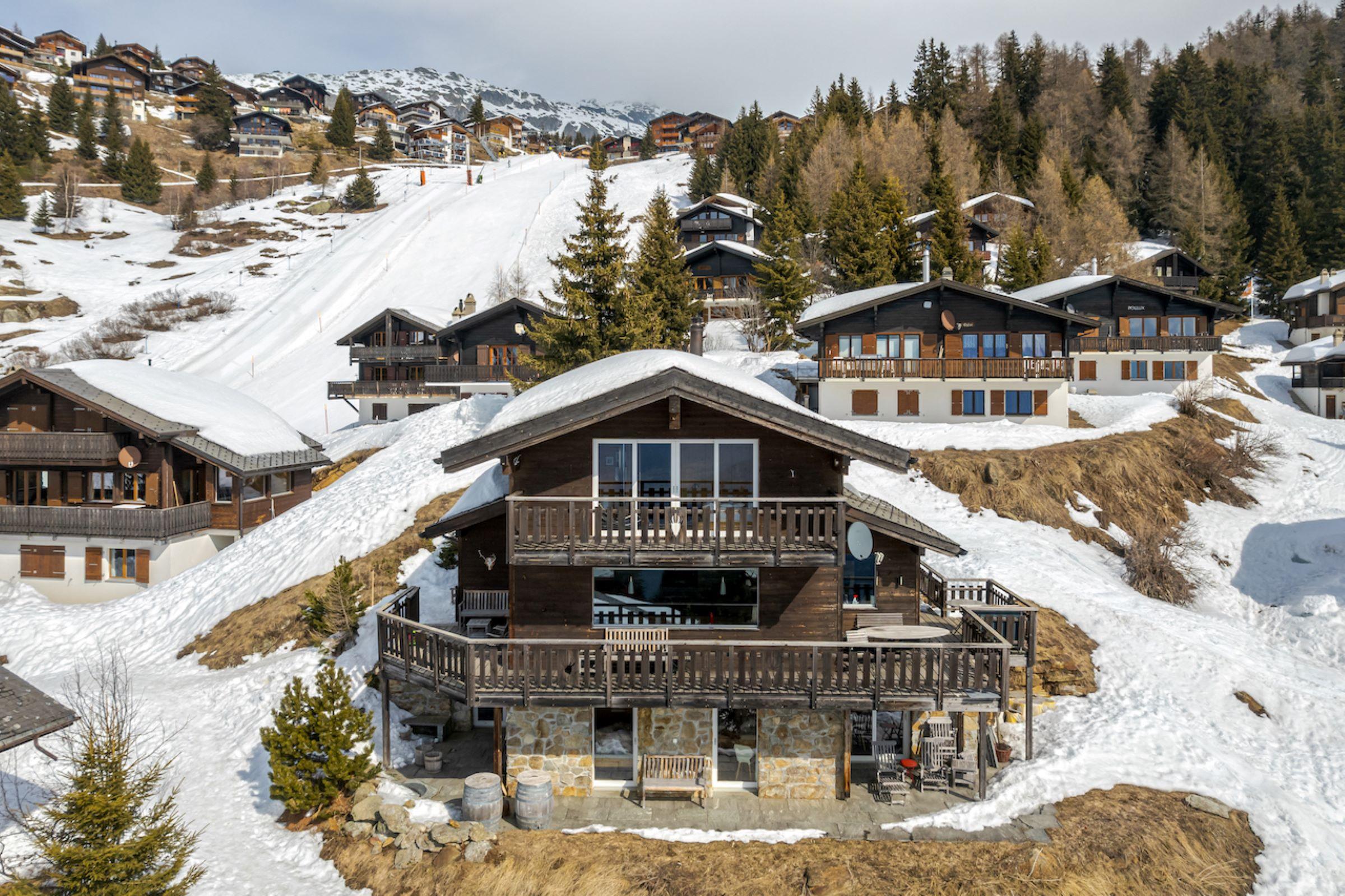 Rupicapra - Rupicapra-Winter-Ansicht