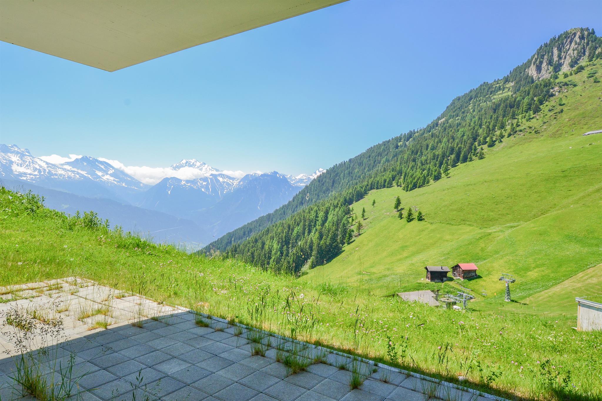 Stella 5 UG West - 9