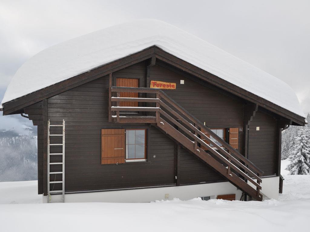 Foresta OG - Ansicht Nord