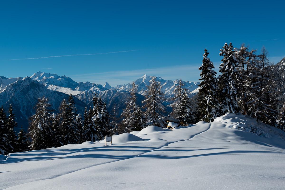 Allegro EG Süd-West - FW5_2465