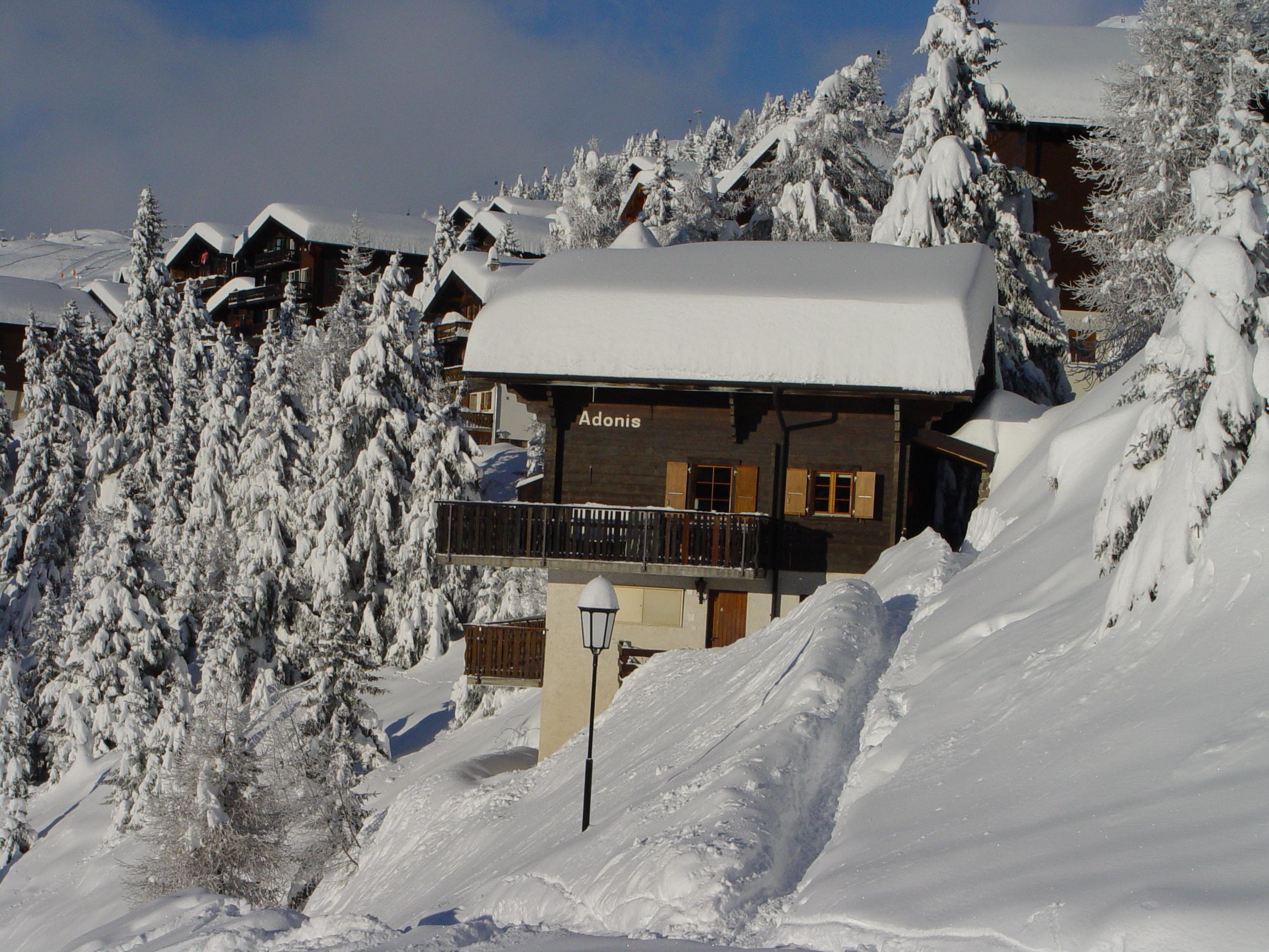 Adonis OG Süd-Ost - ADONIS West