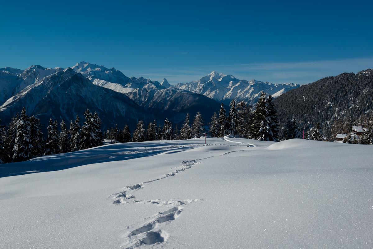 Alpin 20 2. OG Süd-West - FW5_2432