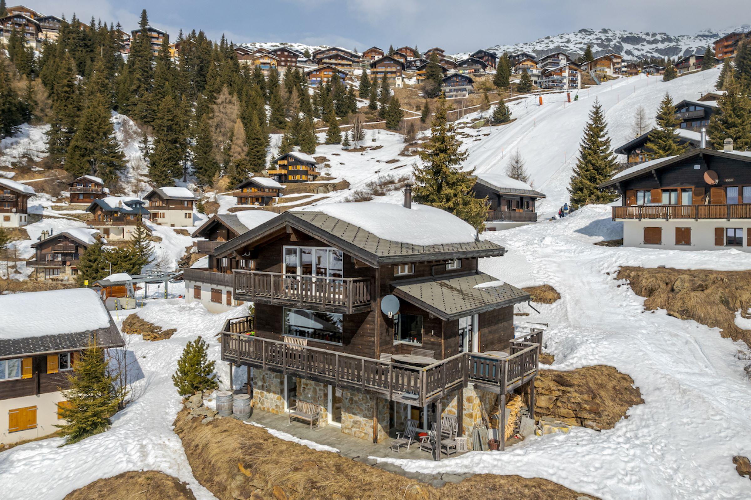 Rupicapra - Rupicapra-Bettmeralp-3