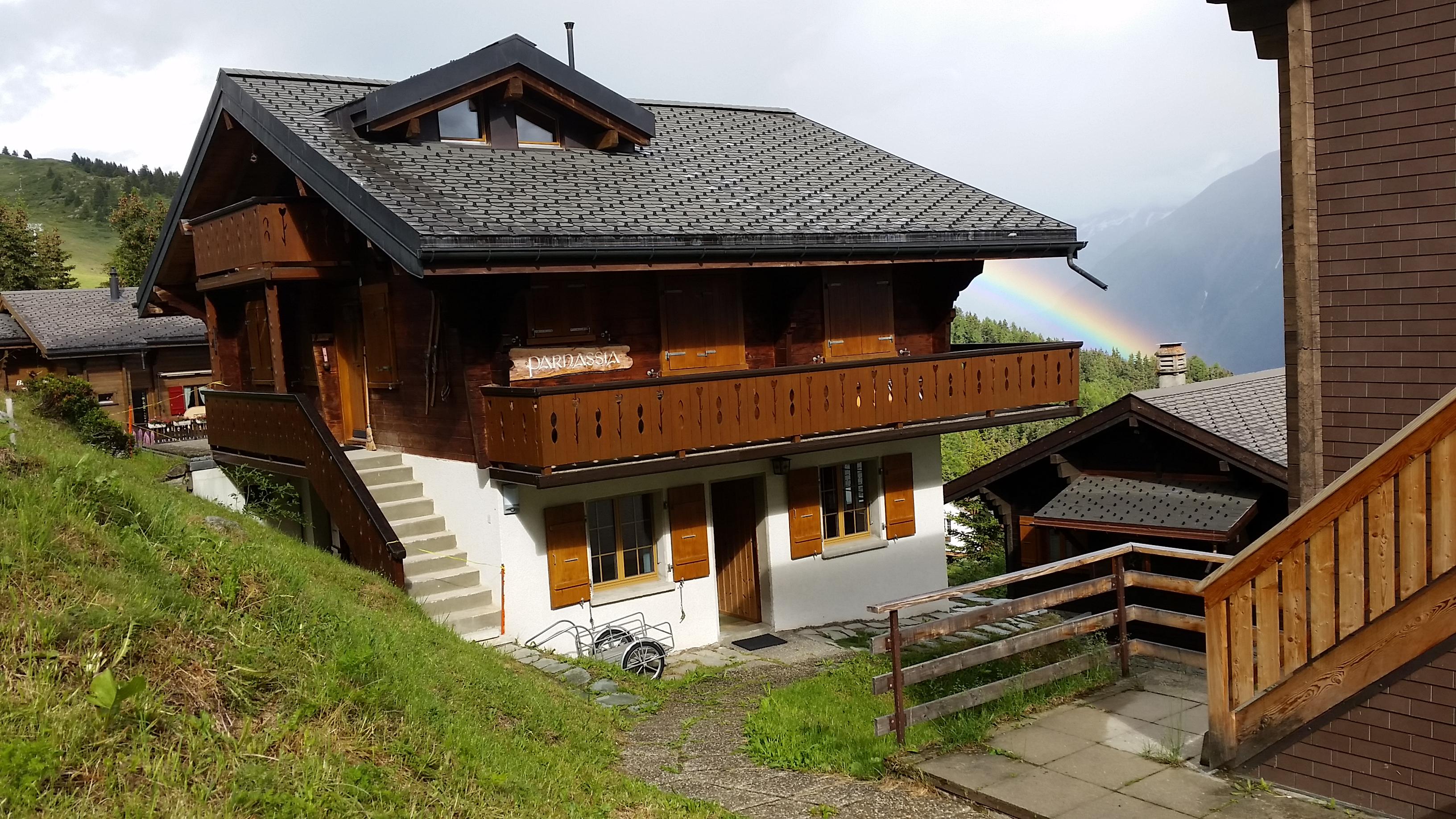 Parnassia EG - Parnassia