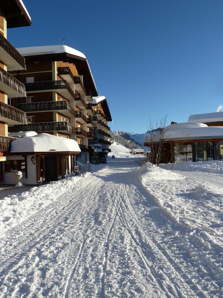 Hollandia 28 - Vor dem Haus Blick nach Osten