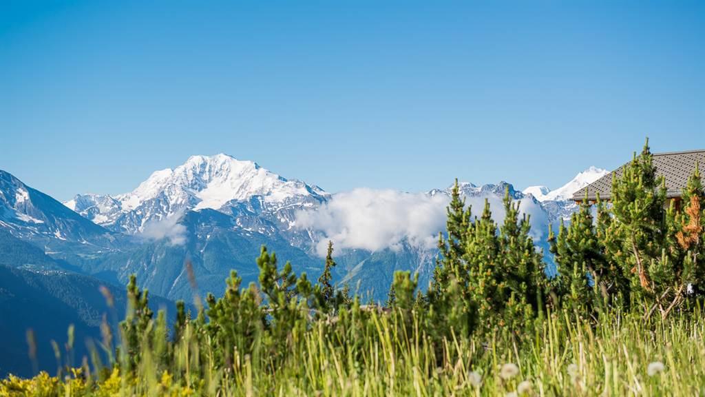 Cassiopeia - DSC_5543_fotoweb15_riederalp-fewo