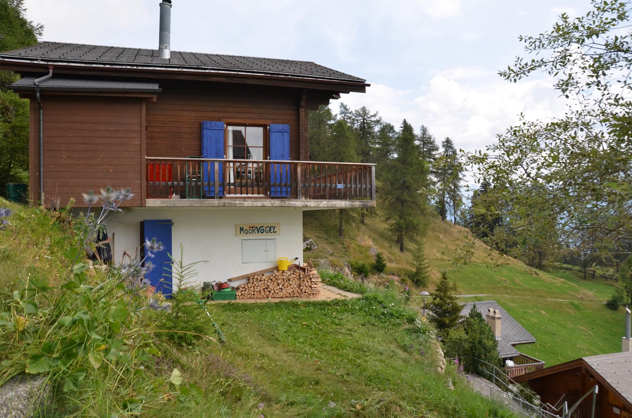 Moorvogel - 20160829_Chalet_Moorvogel_019Sommer