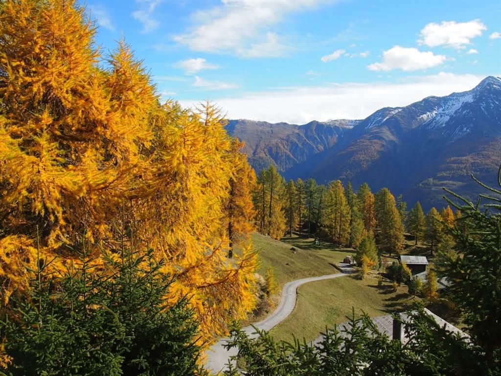 Dorle Skolido - Aussicht Herbst