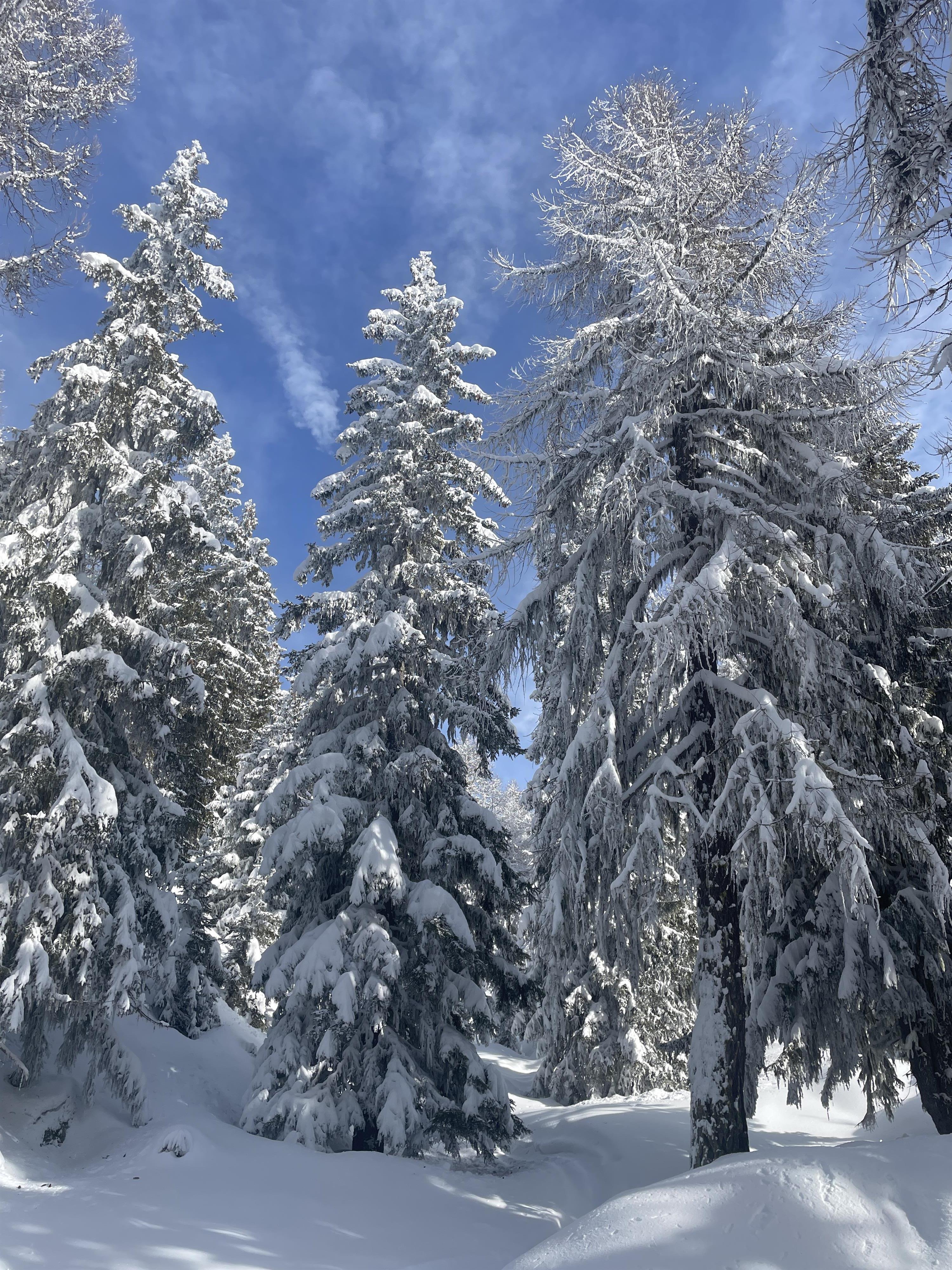 La Montanara 1. OG Ost - IMG_4014