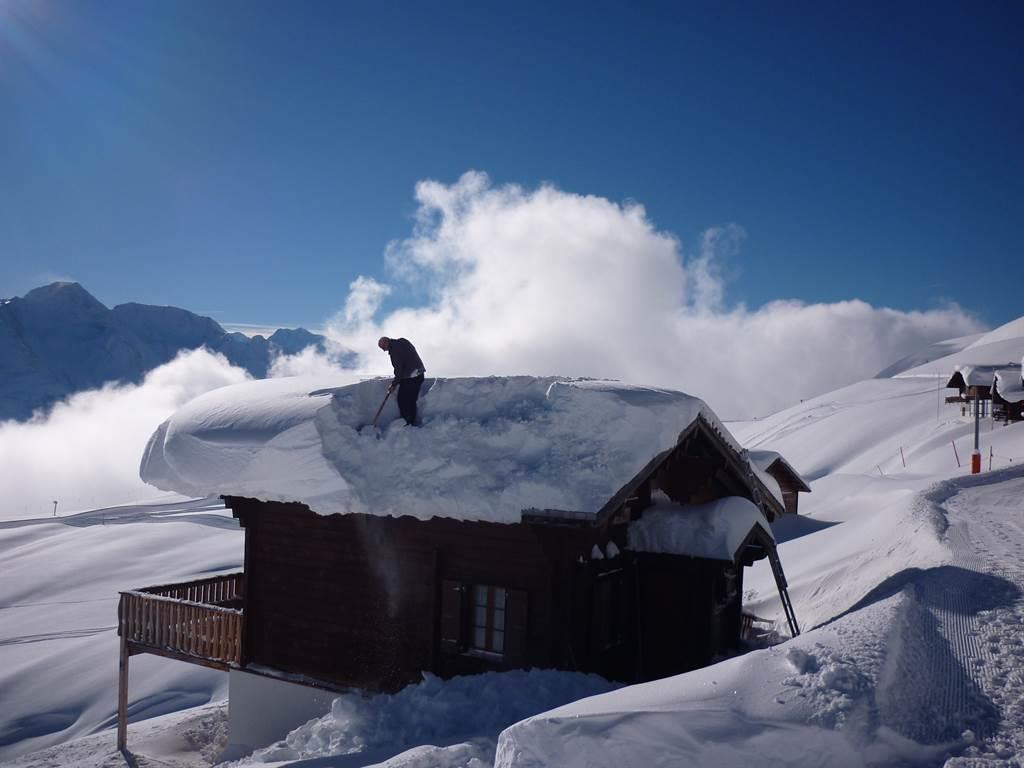 Sylvin OG - Schnee_garantiert
