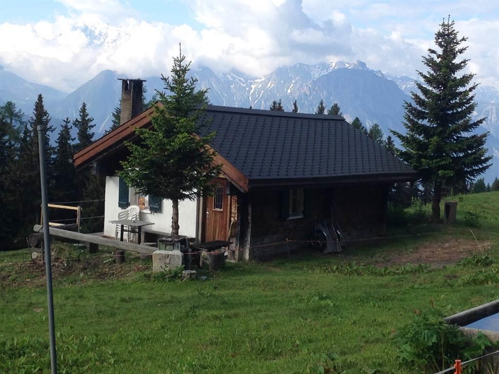 Sennhütte - IMG_2997[1]