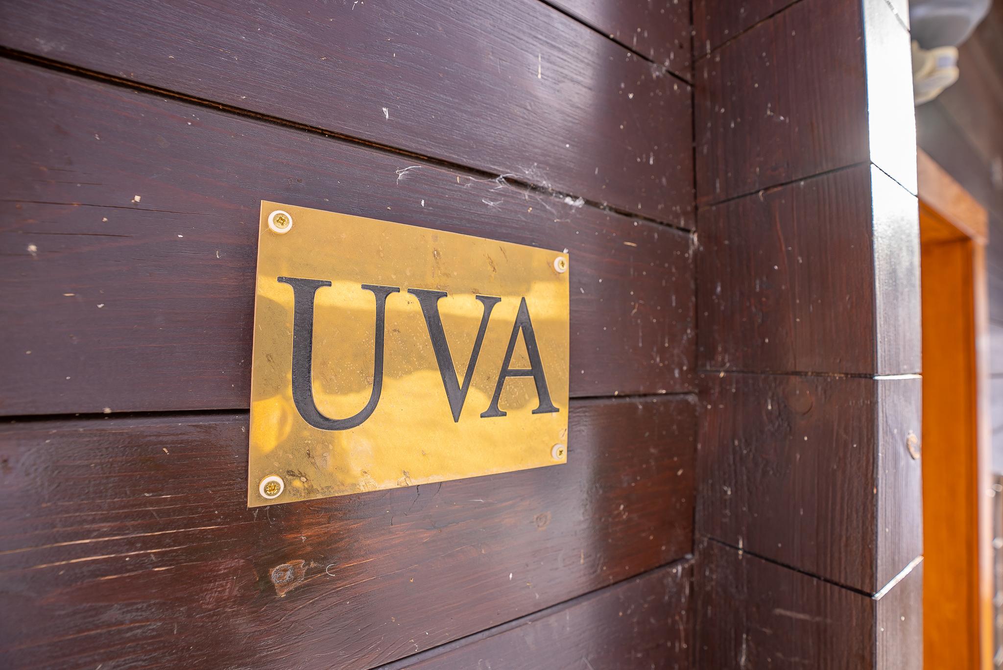 Uva - DSC01176