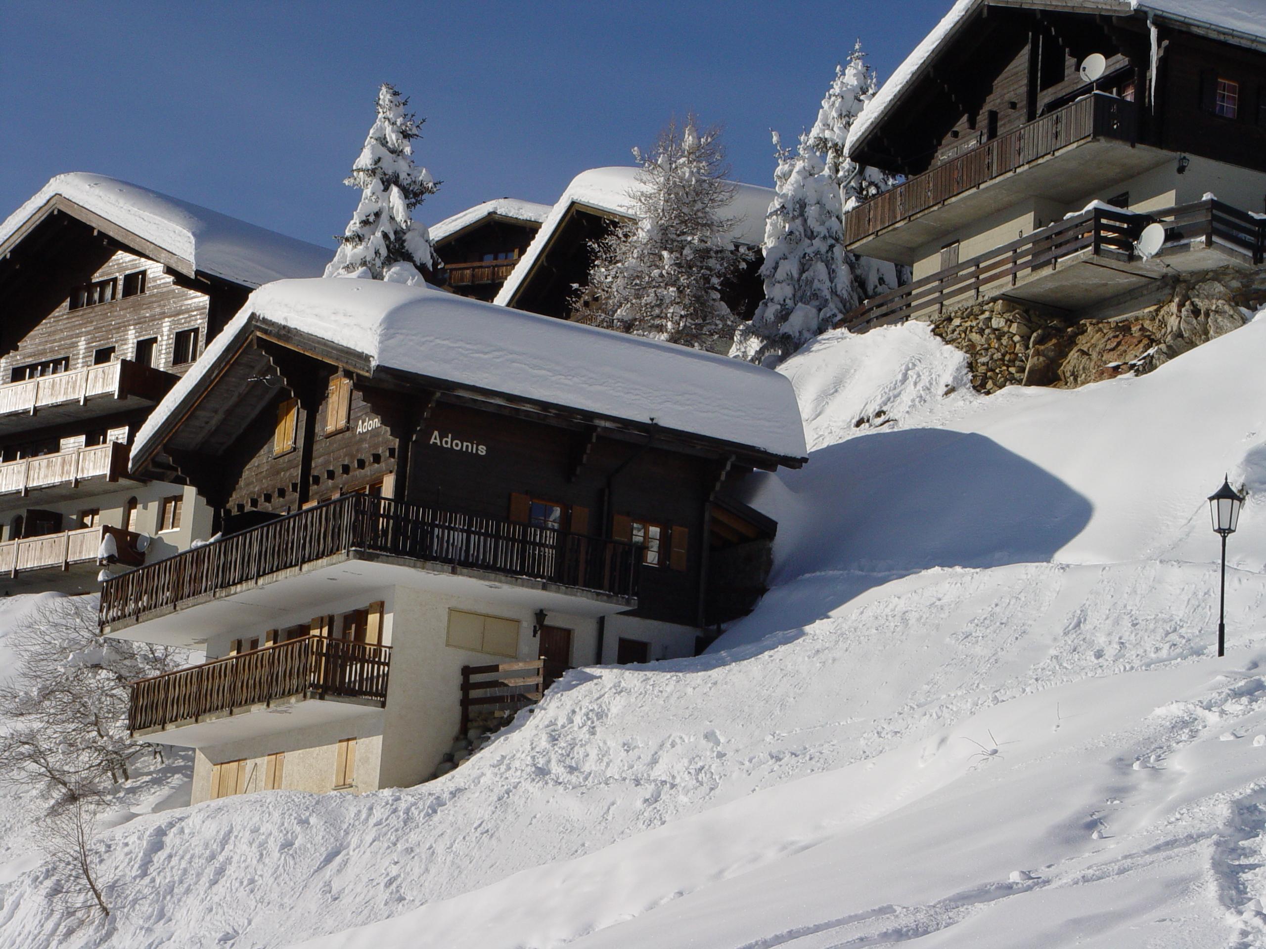 Adonis OG Süd-Ost - ADONIS Süd-West