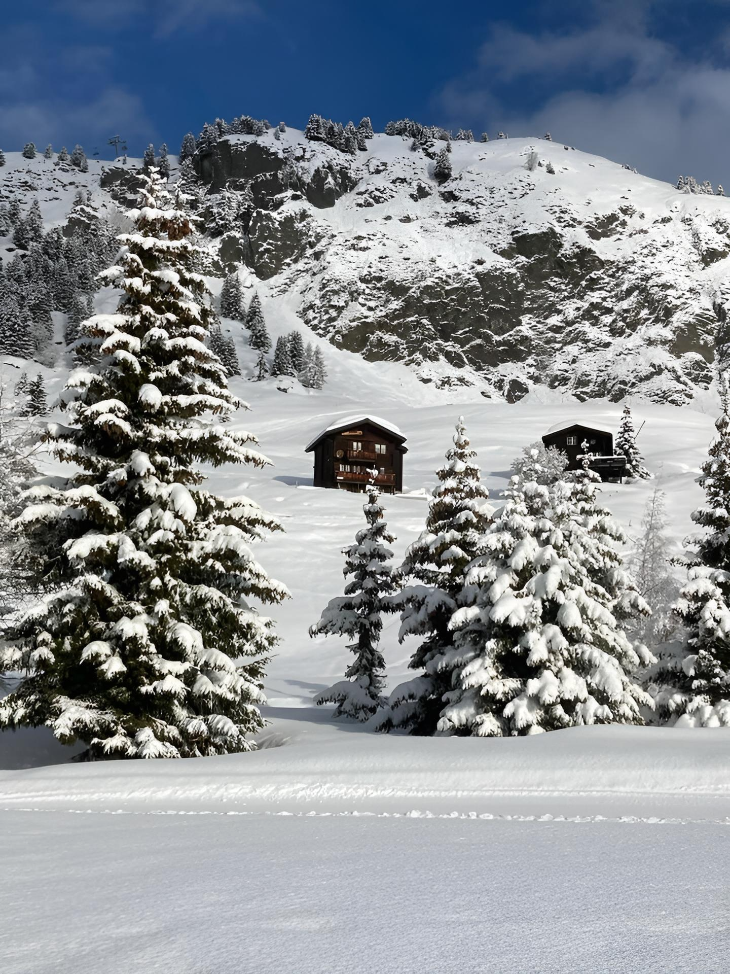 Morgenstern 1. Stock - Bild Riederalp Winter 2