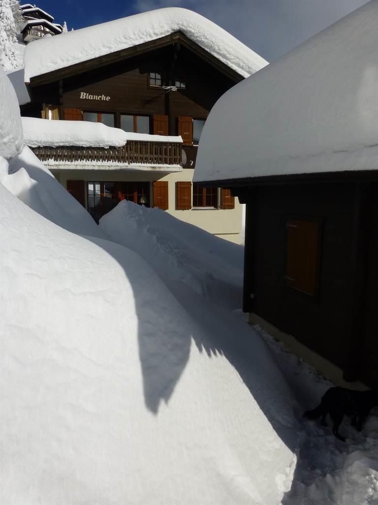 Blanche EG - Aussenansicht Winter 3