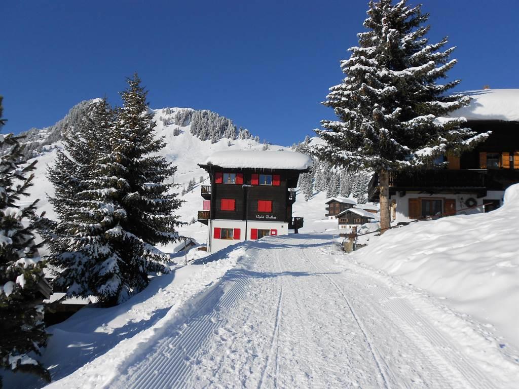 Walker - Weg zum Chalet Walker