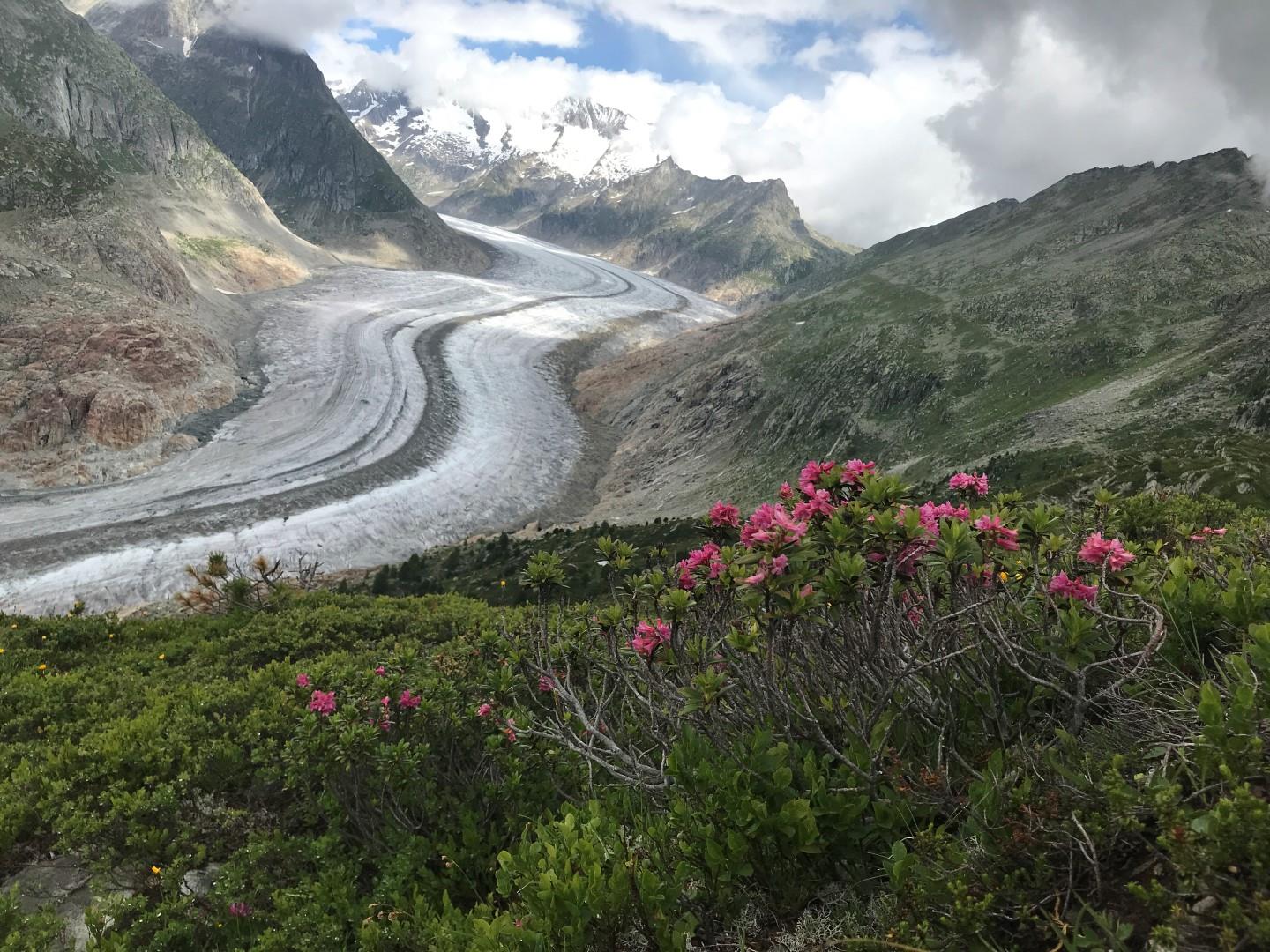 Brunnen Parterre - IMG_0126 (Large)