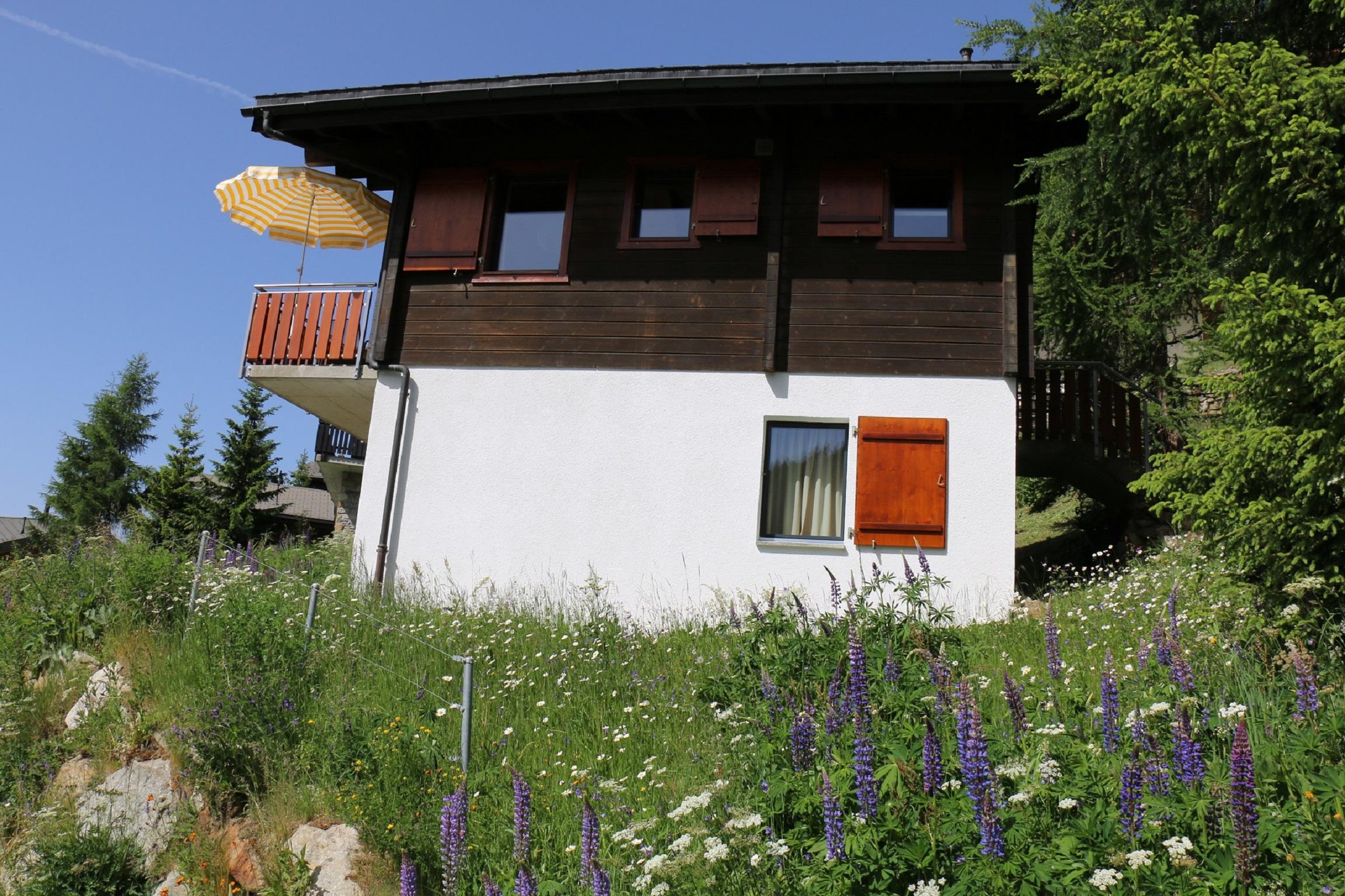 Brunnquell - IMG_2424