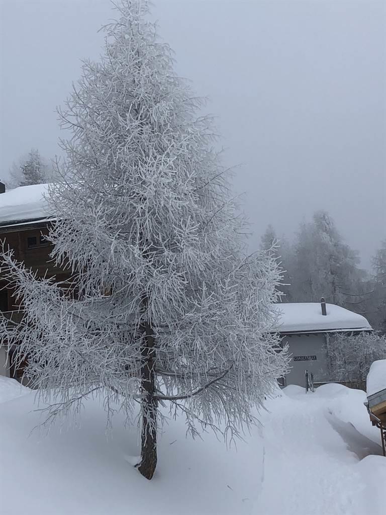 Tilly - 2. Stock - Lärche vereist mit Chalet Tilly
