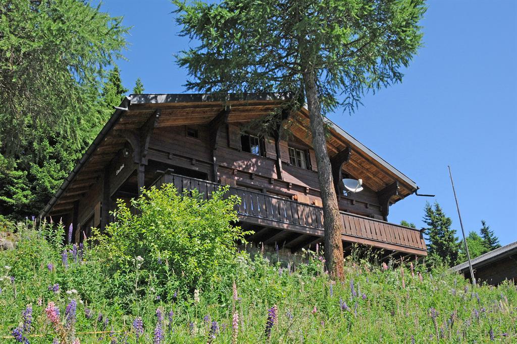 Bärgfink - Chalet  Bärgfink