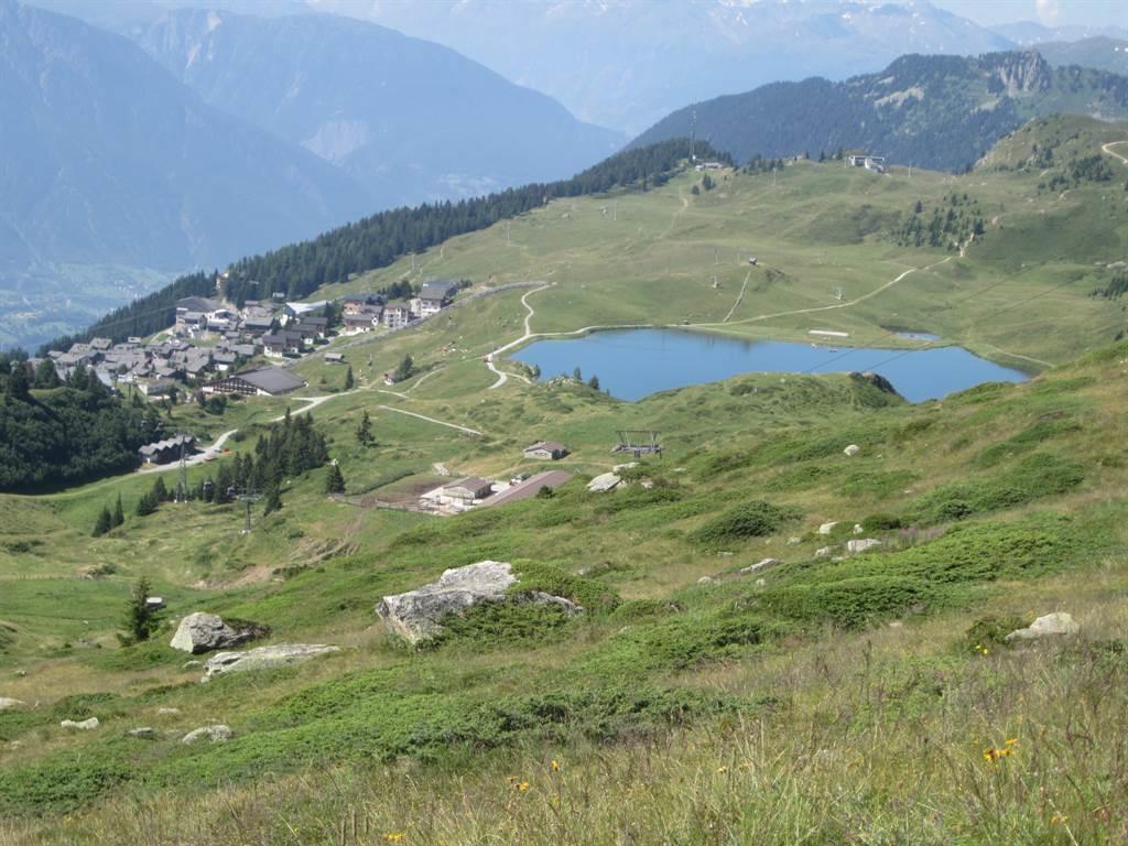 Bergfreude - Bettmersee