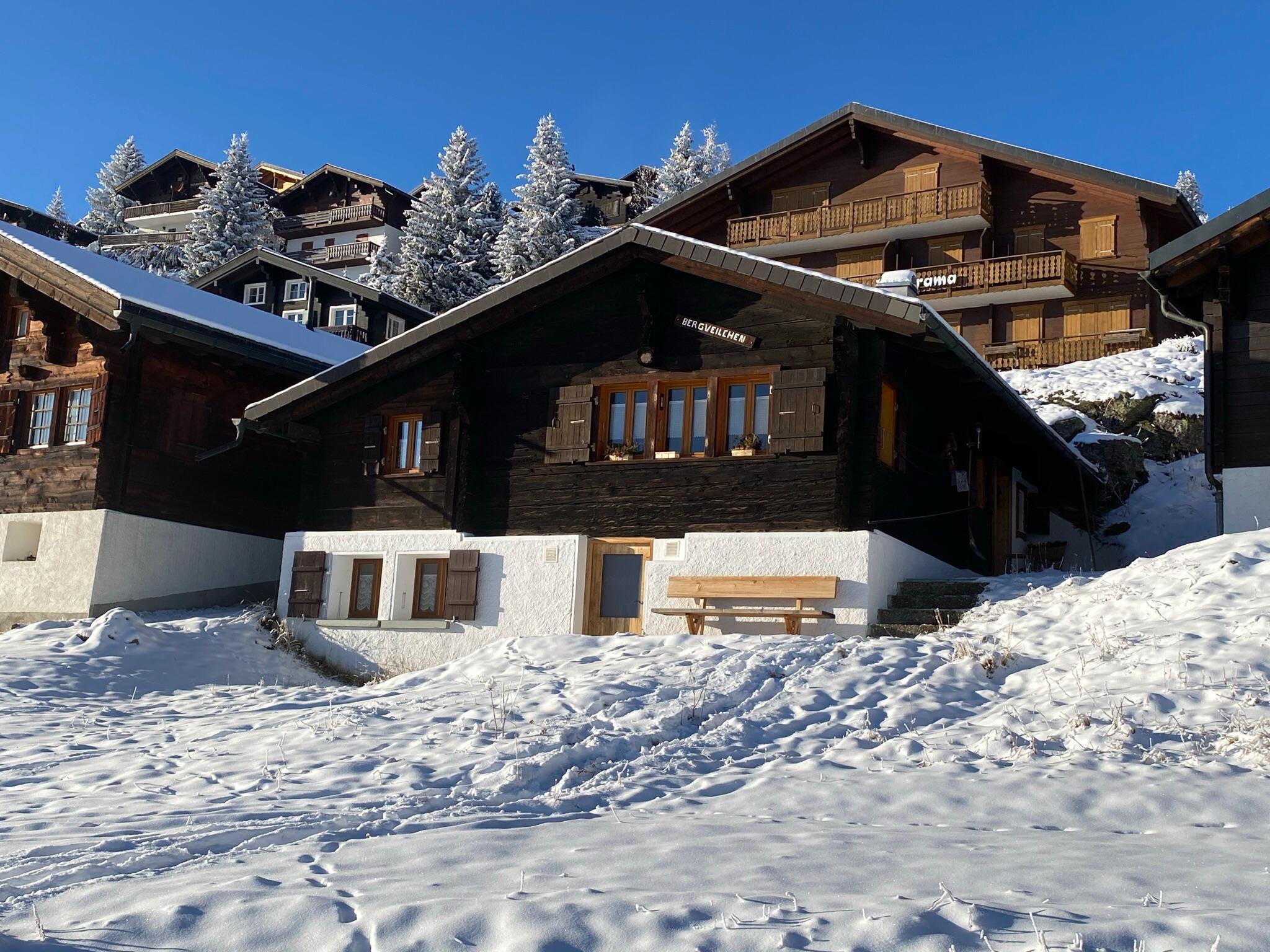 Bergveilchen - Bergveilchen