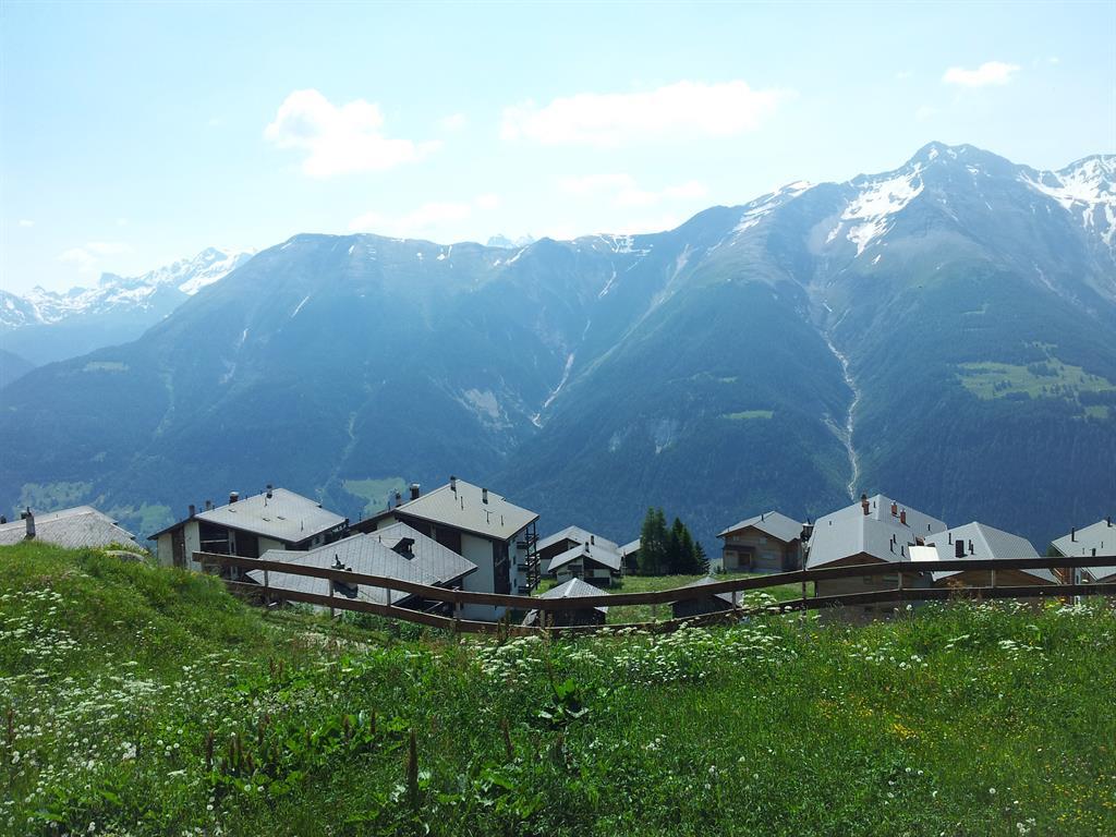 Bijou 1. OG Ost - 20130711_113943