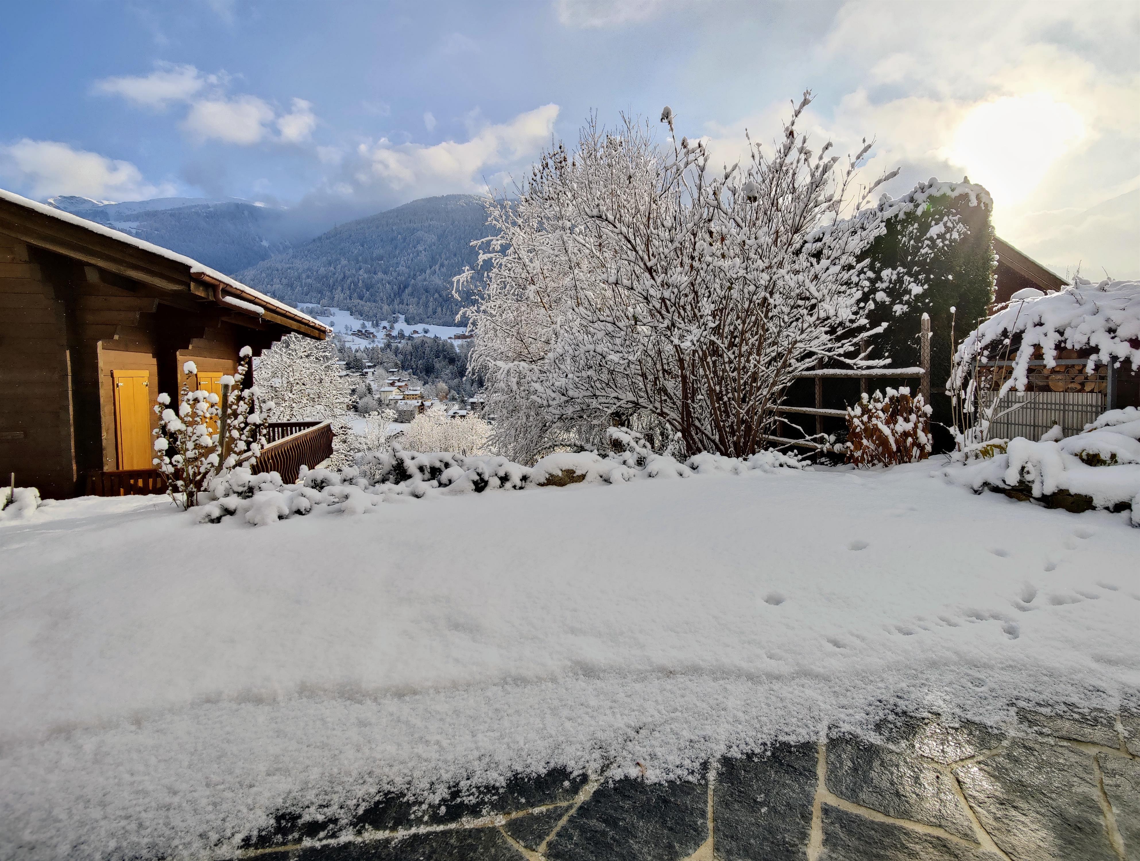 Bune EG Süd - IMG20221211105512