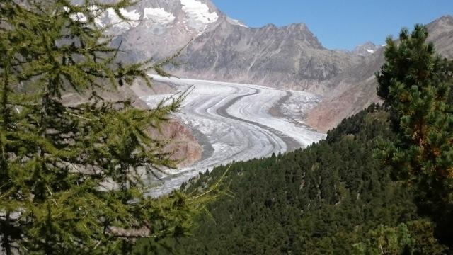 Mühlematte 1. Stock - Aletschwald mit Aletschgletscher