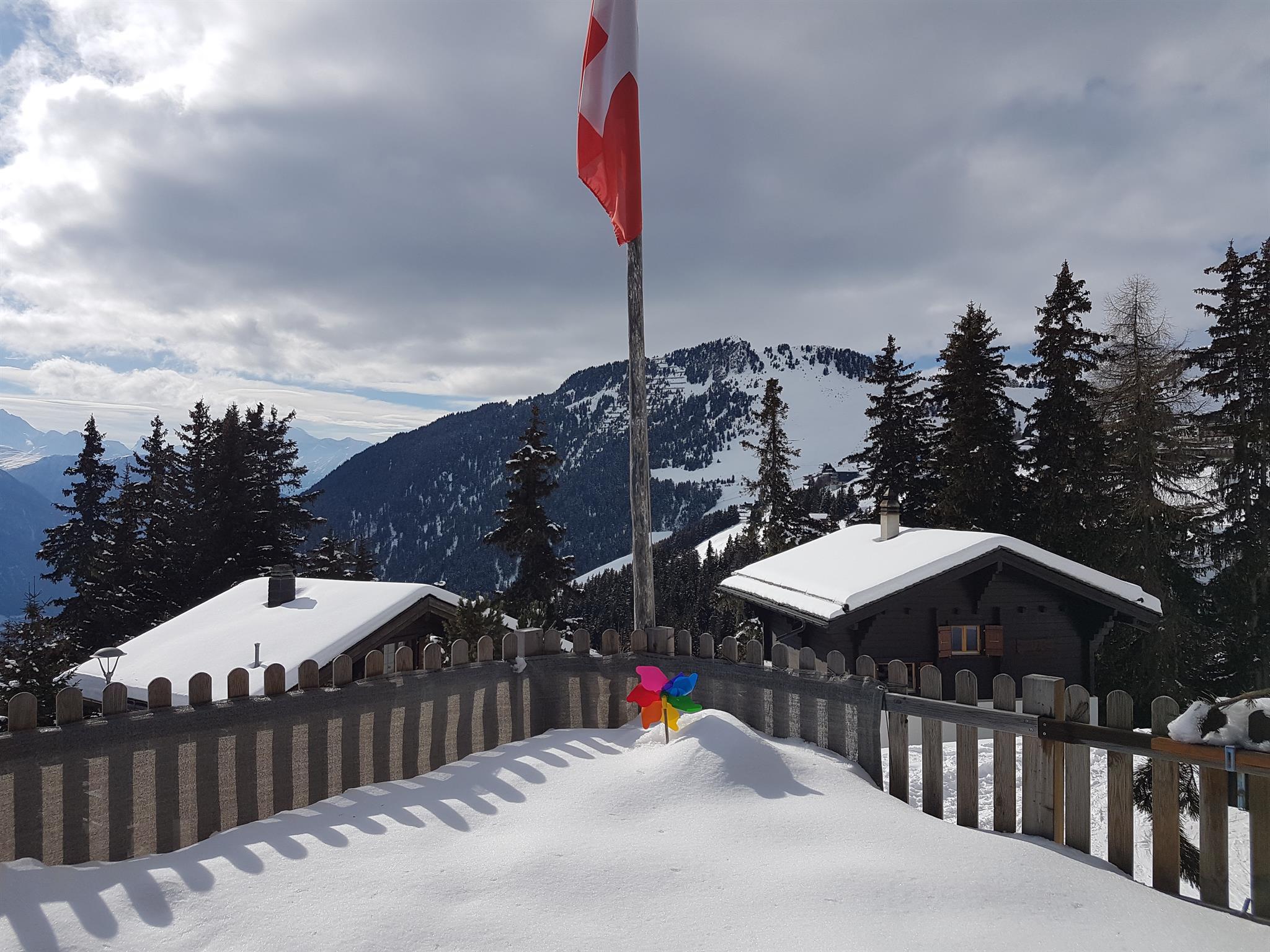 Alfa EG Süd-West - 2017-02-11 13.38.43