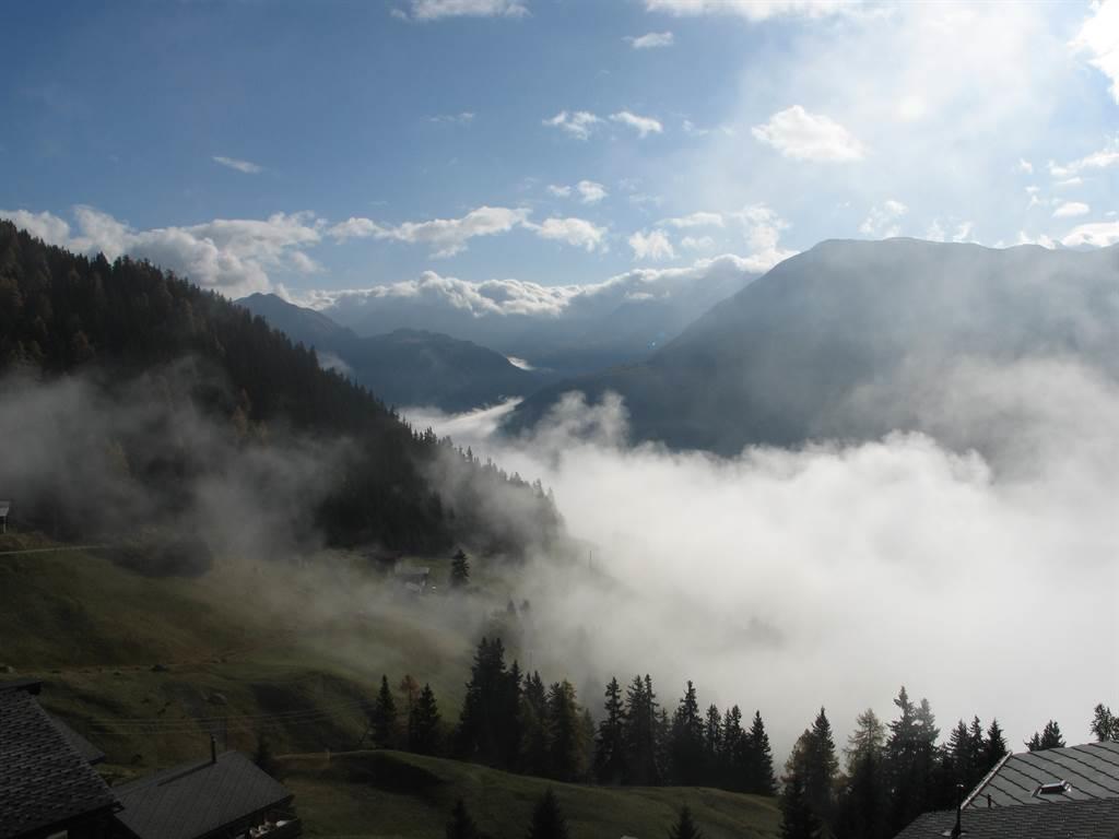 Stadel 7 - Ausichte Sud Ost